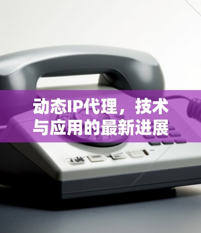 动态IP代理,技术与应用的最新进展 动态IP代理,技术与应用的最新进展
