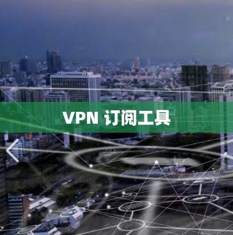 VPN 订阅工具 VPN 订阅工具