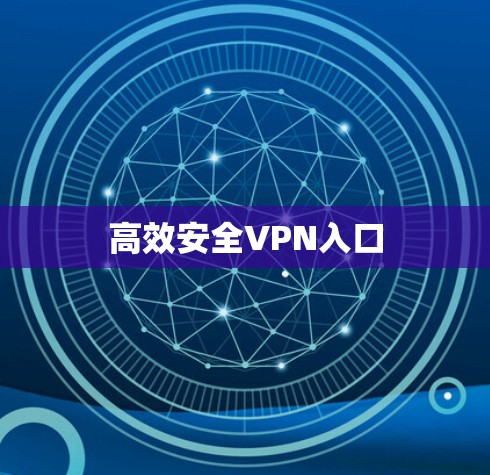 高效安全VPN入口