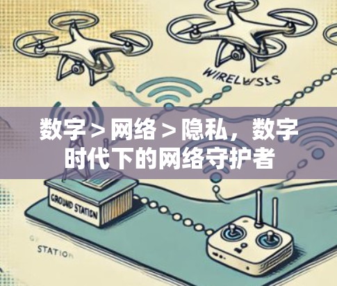 数字＞网络＞隐私，数字时代下的网络守护者
