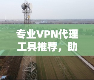 专业VPN代理工具推荐,助力您的网络安全与舒适 专业VPN代理工具推荐,助力您的网络安全与舒适