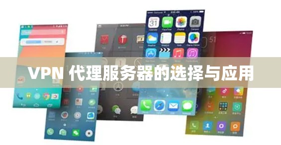 VPN 代理服务器的选择与应用 VPN 代理服务器的选择与应用