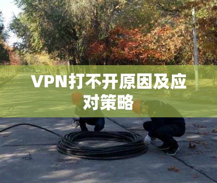 VPN打不开原因及应对策略 VPN打不开原因及应对策略