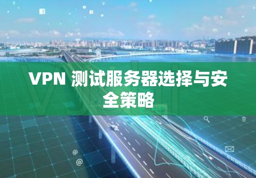 VPN 测试服务器选择与安全策略