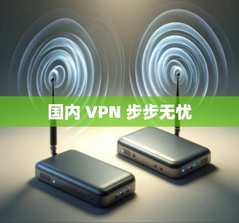 国内 VPN 步步无忧 国内 VPN 步步无忧