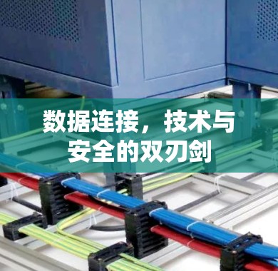 数据连接,技术与安全的双刃剑 数据连接,技术与安全的双刃剑