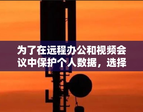 为了在远程办公和视频会议中保护个人数据，选择合适的VPN软件至关重要。以下是详细的步骤指南