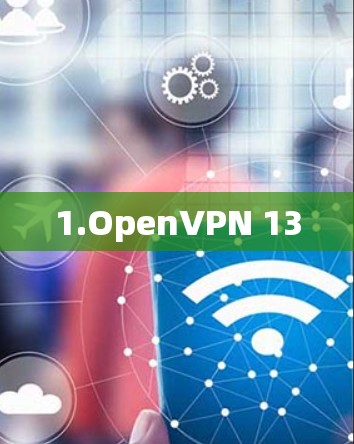 1.OpenVPN 13 1.OpenVPN 13
