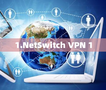 1.NetSwitch VPN 1