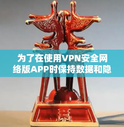 为了在使用VPN安全网络版APP时保持数据和隐私的安全，可以按照以下步骤进行
