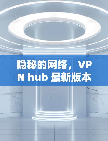 隐秘的网络，VPN hub 最新版本下载
