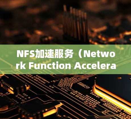 NFS加速服务（Network Function Accelerator Service）