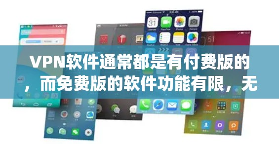 VPN软件通常都是有付费版的，而免费版的软件功能有限，无法提供完整的VPN功能。因此，如果希望下载VPN软件，建议选择官方提供的免费软件，如Netnanny、P3或NetSnort等