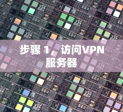步骤 1，访问VPN服务器