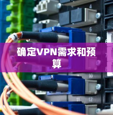 确定VPN需求和预算 确定VPN需求和预算