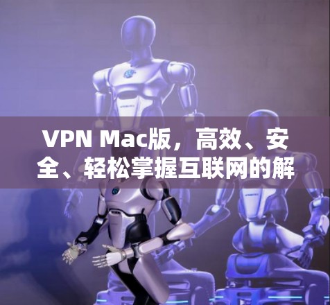 VPN Mac版，高效、安全、轻松掌握互联网的解
