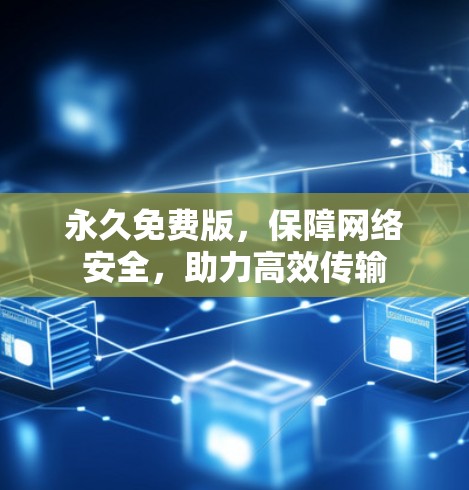 永久免费版,保障网络安全,助力高效传输 永久免费版,保障网络安全,助力高效传输