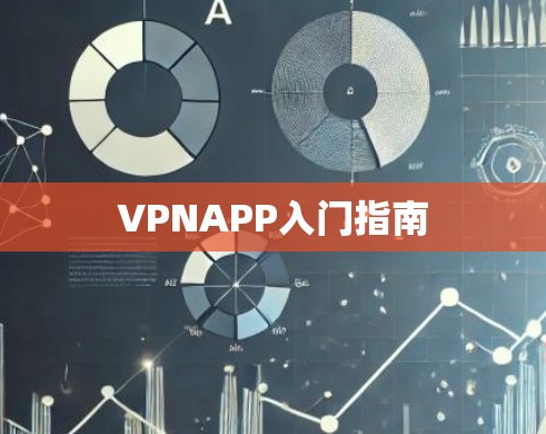 VPNAPP入门指南 VPNAPP入门指南