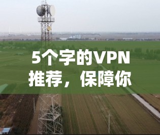 5个字的VPN推荐，保障你的通信安全