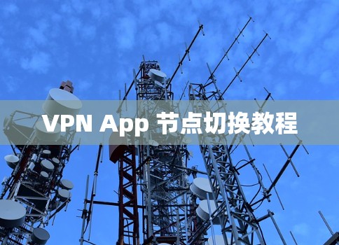 VPN App 节点切换教程 VPN App 节点切换教程
