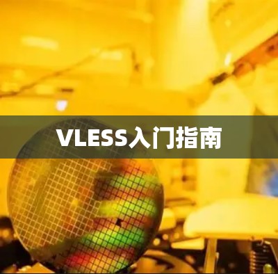 VLESS入门指南 VLESS入门指南