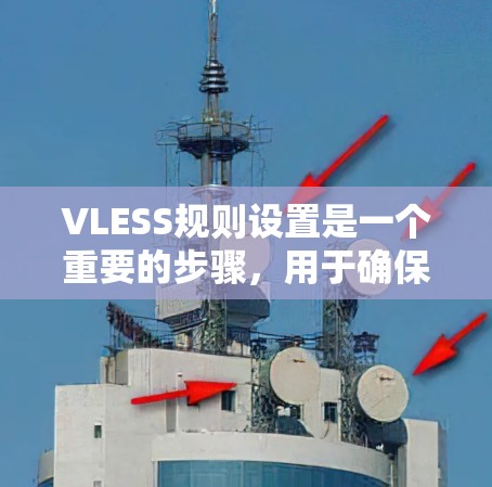 VLESS规则设置是一个重要的步骤，用于确保计算机在读写操作时进行数据校验，从而防止数据泄露。以下是详细的步骤说明