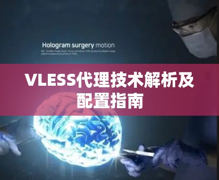 VLESS代理技术解析及配置指南