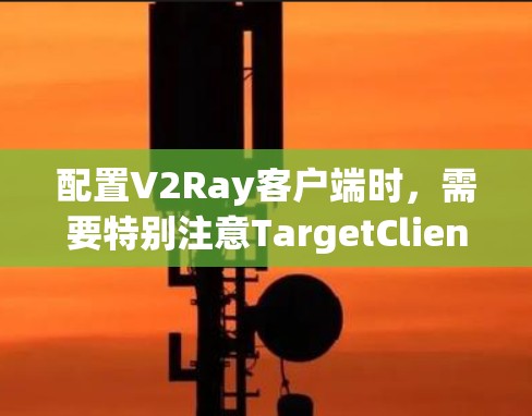 配置V2Ray客户端时，需要特别注意TargetClient部分的参数设置，以确保客户端能够正确读取缓存数据。以下是详细的配置步骤