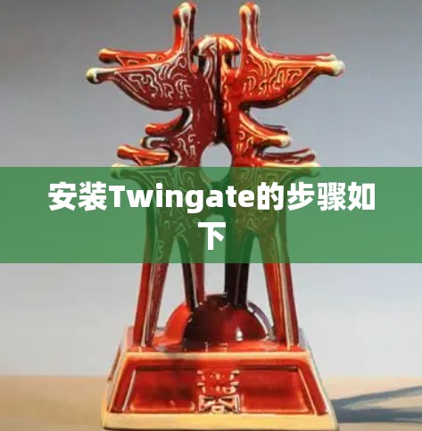 安装Twingate的步骤如下