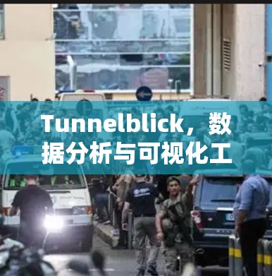 Tunnelblick，数据分析与可视化工具，助力数据驱动的商业决策