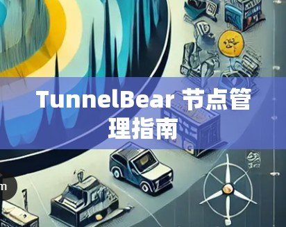 TunnelBear 节点管理指南
