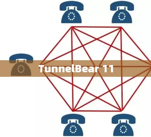 TunnelBear 11