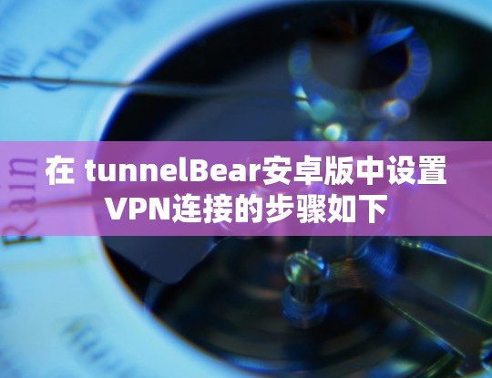 在 tunnelBear安卓版中设置VPN连接的步骤如下