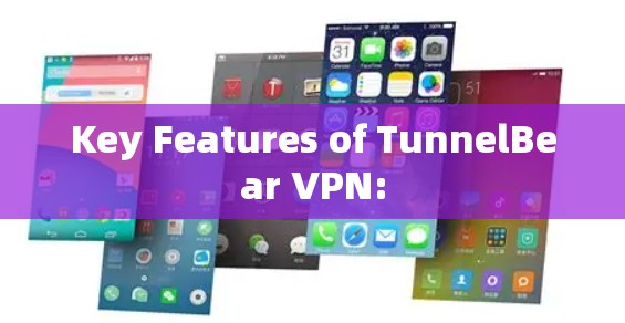 Key Features of TunnelBear VPN: