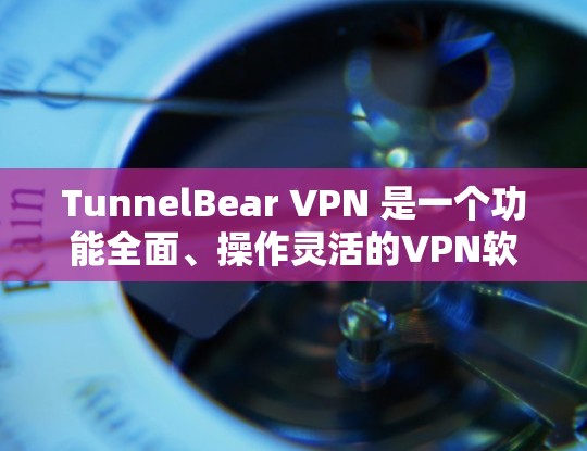 TunnelBear VPN 是一个功能全面、操作灵活的VPN软件，适合需要全方位网络保护和文件管理的用户。以下是关于TunnelBear VPN 的详细分析