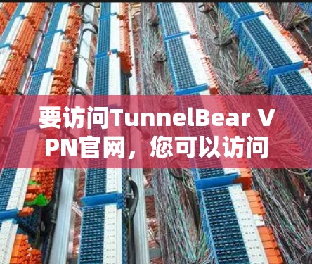 要访问TunnelBear VPN官网，您可以访问其官方网站。以下是一个访问TunnelBear VPN官网的链接