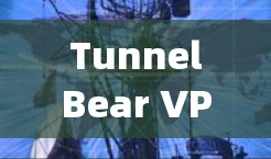 TunnelBear VPN 官方APP安装 guide