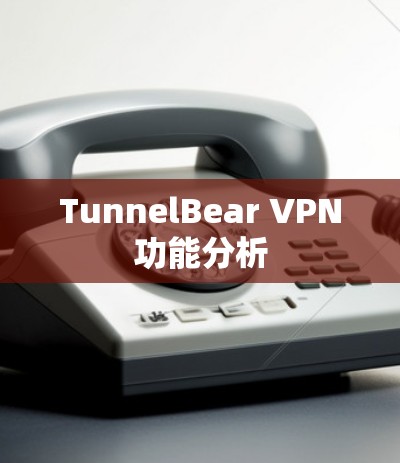 TunnelBear VPN功能分析