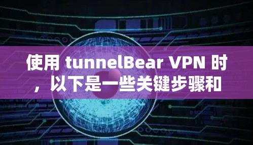 使用 tunnelBear VPN 时，以下是一些关键步骤和注意事项