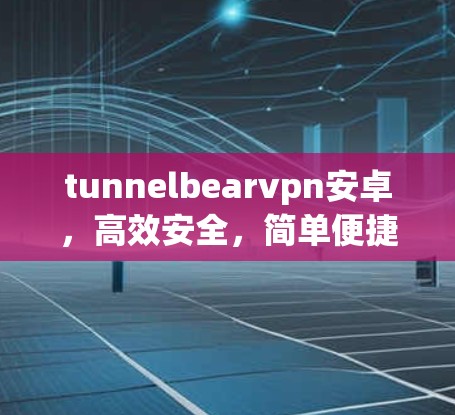 tunnelbearvpn安卓，高效安全，简单便捷，开启你的VPN之旅