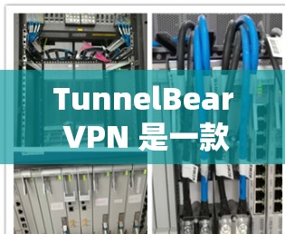 TunnelBear VPN 是一款非常受欢迎的VPN工具，提供安全、可靠和高效的网络连接服务。以下是关于 TunnelBear VPN的一些关键信息