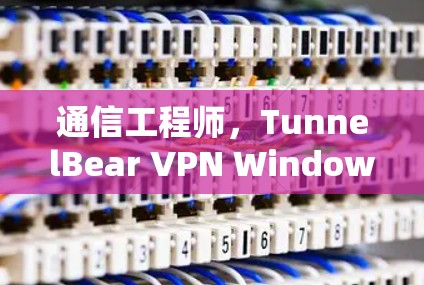 通信工程师，TunnelBear VPN Windows版的通信优化与安全性分析