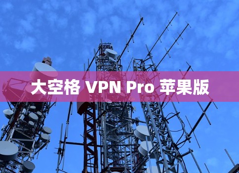 大空格 VPN Pro 苹果版 大空格 VPN Pro 苹果版