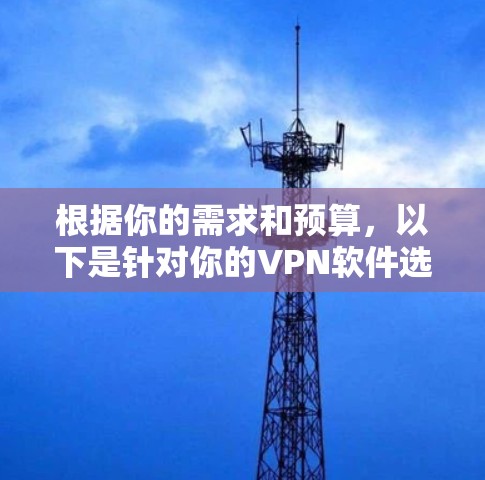 根据你的需求和预算，以下是针对你的VPN软件选择的建议