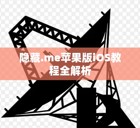 隐藏.me苹果版iOS教程全解析