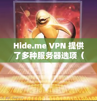 Hide.me VPN 提供了多种服务器选项（如本地服务器、云服务器、云服务器和混合云服务）而每种服务器的测试和配置方法有所不同。以下是一些常见的测试和选择方法