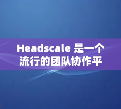 Headscale 是一个流行的团队协作平台，广泛用于项目管理、沟通、文档协作等场景。如果你需要下载使用，以下是一些常见的下载步骤