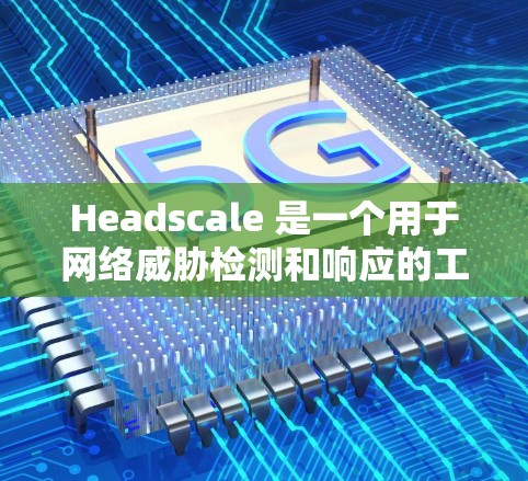 Headscale 是一个用于网络威胁检测和响应的工具，帮助用户识别和阻止网络攻击。以下是一个详细的网络设置步骤