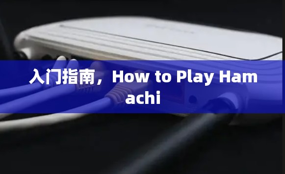 入门指南,How to Play Hamachi