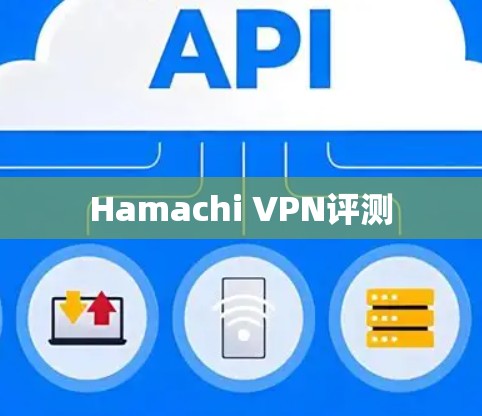 Hamachi VPN评测